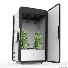 We did not find results for: Top Rated Automated Grow Boxes 2019 Indoor Home Cannabis Systems