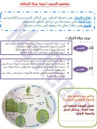 بالصور ملف Pdf ملخص درس دورة حياة النبات علوم للصف الخامس الفصل الدراسي الاول منتديات صقر الجنوب