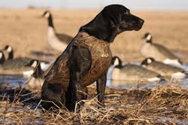 Prairiewind Decoys Standard Dog Parkas By Avery Sporting