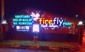 Kelip kelip is the malay name for fireflies though in the real english translation, kelip kelip means twinkle. Tempat Menarik Di Kuala Selangor Gemerlapan Santuari Kelip Kelip Kampung Kuantan Reflect Relax