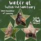 Winter at SOS — Suffolk Owl Sanctuary event image