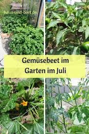 Was tun, wenn die hausmittel nicht wirken? Was Gibt Es Im Garten Im Juli Zu Tun Garten Gemusegarten Anlegen Und Selbstversorger Garten