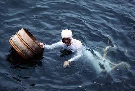 Many foods contain a large quantity of water but it is still necessary. Cold Acclimation And Acclimatization In Humans