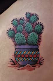 10 types of cactus:faries castle cactus,rebutia krainziana cactus,natocactus silverball,fish hook cactus,echinobivia cactus,cereus peruvianus cristata. Aaah I Want A Cactus Tattoo Cactus
