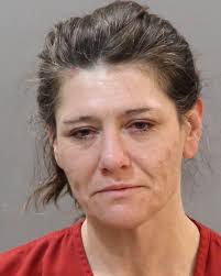 PIPER, HALEY LEANNE Charges: DOMESTIC ASSAULT AND POSSESS WITH INTENT TO  SELL OR DELIVER COCAINE (REV OF PROB) This information and more is  available at https://sheriff.knoxcountytn.gov