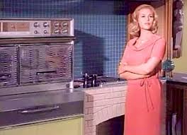 Image result for Coppertone 1964 Tappan