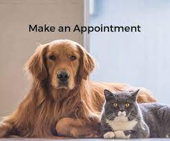 Welcome to academy pet hospital! Vet Clinic In Fayetteville Cumberland County Nc Animal Hospital