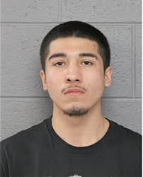 ᐅ Illinois Criminal Records 2009-2025