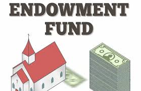 We did not find results for: Endowment Fund Definition