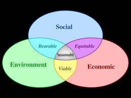 Sustainability Vs Sustainable Ambiguity Sustainable Development Sustainability Sustainability Science
