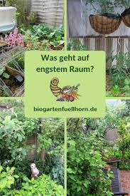 Was Geht Auf Engstem Raum Kleinen Raumgartnerei Biogarten