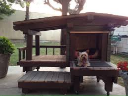 Cama De Casal Com Casinha De Cachorro Pin Em Caes