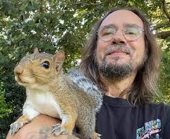 Mushrooms growing under oak tree