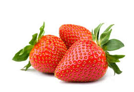 España: Grandes daños en la cosecha de fresas en Huelva