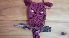 Macrame owl class
