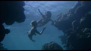 Sexuele voorlichting (1991) breton subtitles srt. Sexuele Voorlichting 1991