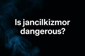 Data Softout4.v6 Python – Complete Overview & Usage Guide