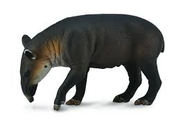 ✓ free for commercial use ✓ high quality images. Collecta 88596 Central American Tapir Animal Figures At Spielzeug Guenstig De