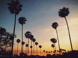 Next management captação de imagem: Summer Vibes Eurofragance