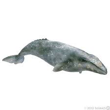 Schleich Grijze Walvis 16082 2000 Gray Whale Whale Schleich