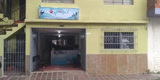 Clínica veterinaria ZooMed