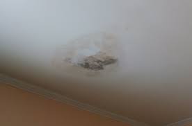 Even if you ventilate your bathroom properly, all the dampness caused by the water in showers, sinks, and even toilets, will eventually cause mold to grow. How To Remove Mold From Bathroom Ceiling Homebli