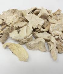 Image result for Synaptolepis oliveriana