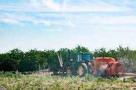 Agricultural insect control, agricultural plant disease control, agricultural weed control, seed treatment, livestock pest control, forest pest control 5. The Goals Of Pest Management Citrus Industry Magazine