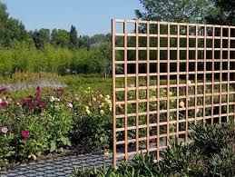 Treillis Jardin Et Canisse Brise Vue Deco Treillis Jardin Treillis Bois Treillis