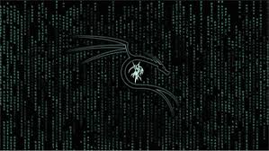 4k00:2401 or binary numbers on the computer screen on monitor matrix background, digital data code in hacker or safety security technology concept. 4k Hacker Background