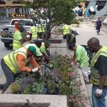 Our innovative pest control service is guaranteed to get rid of your insect problems, while our protection services make sure your home is always call us today to arrange dependable pest control services for your construction site in new haven. A Safe Haven Foundation Office Photos Glassdoor