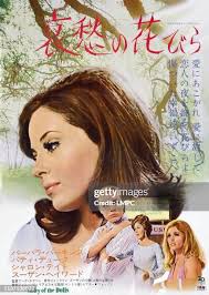 58 Patty Hayward Stock Photos, High-Res Pictures, and Images