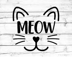 Pin On All Cats