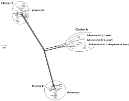 frontiers identification and classification for the