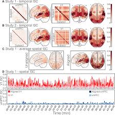 Vous pouvez à tout moment supprimer votre abonnement dans votre espace personnel. Endogenous Variation In Ventromedial Prefrontal Cortex State Dynamics During Naturalistic Viewing Reflects Affective Experience Science Advances