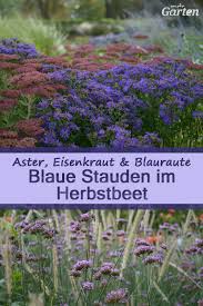 Macht Doch Mal Blau Stauden Staudenbeet Blumenbeete