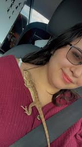 The last 7 baby Tegus are out of the egg! Time to scurry!!!