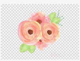 Beautiful red transparent frame with gold ribbon and red rose is part of frames gallery yopriceille category. Peach Flowers Illustrations Png Clipart Garden Roses Gold Heart Transparent Background Transparent Png 900x640 Free Download On Nicepng
