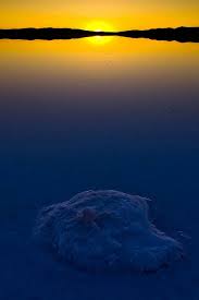 Bear Head Salt Beautiful Sunrise Beautiful Sunset Sunset