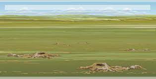 Check that the height of the sled. Https Www Explorelearning Com Index Cfm Method Cresource Dspview Resourceid 647