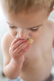 The Most Delicious Chocolate Chip Cookies