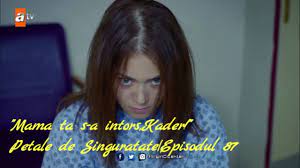 Dans cette défaite de la france impériale face à lallemagne, scientifique et implacable, zola raconte limmense détresse et la souffrance des soldats. Mama Ta S A Intors Kader Petale De Singuratate Episodul 87 Youtube