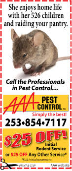 Photos, address, and phone number, opening hours, photos, and user reviews on yandex.maps. Specials Aaa Pest Control