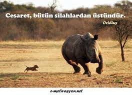 Osho Sozleri Cesaret Google Da Ara Guzel Soz Edebiyat Ozlu Sozler