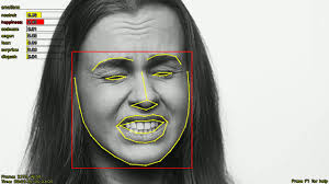 Tests of Emotions Detection from a Video