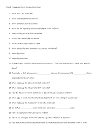 The worksheet asks students to review terms and label an image in the point mutation, a single base is changed which leads to a difference amino acid. Dna Replication Protein Synthesis Worksheet Printable Worksheets And Activities For Teachers Parents Tutors And Homeschool Families