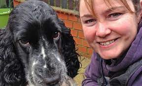 Our community welcomes pet sitters and pet parents. How To Start A Pet Sitting And Dog Walking Business Startups