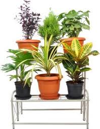 30 original indoor plant decor ideas. D V Engineering Metal 2 Step 6 Planter Indoor Outdoor Flower Pot Stand Plant Stand Kitchen Shelf Stand For Home Decor Office Garden Balcony Decor Plant Container Set Price In India Buy D V Engineering