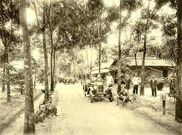 L'Indochine Coloniale - L'épopée du Caoutchouc !