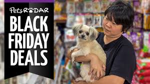 With the snuggle puppy, my actual puppy didn't make a peep! Final Black Friday Pet Deals Petsmart Walmart Petco And More Petsradar